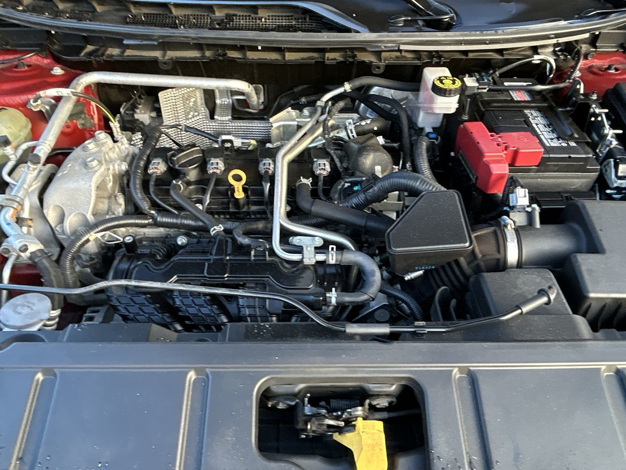 2022  Rogue
