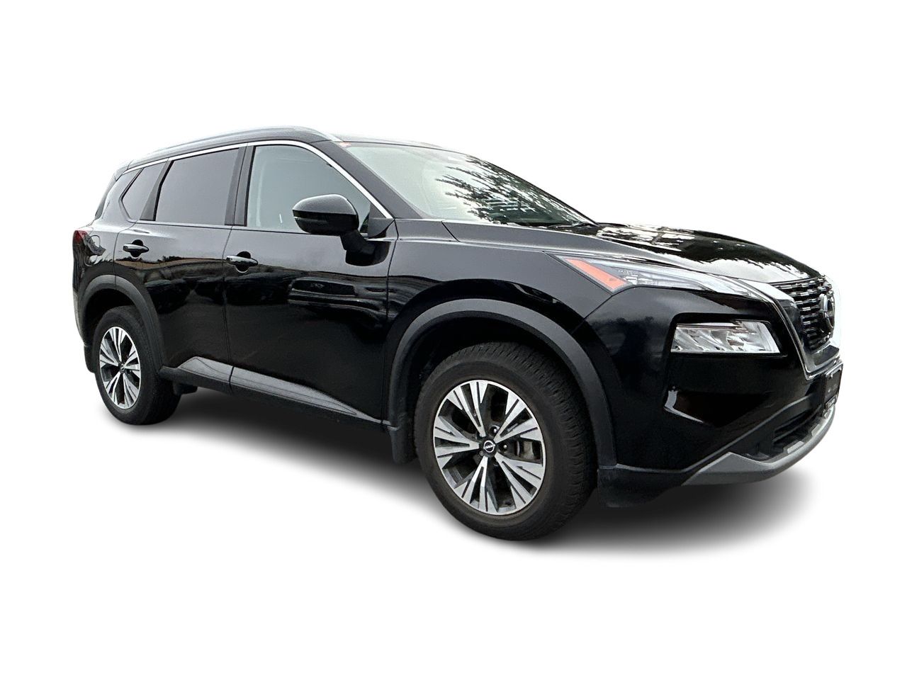 2023  Rogue