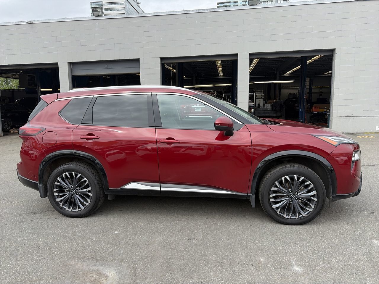 2024  Rogue