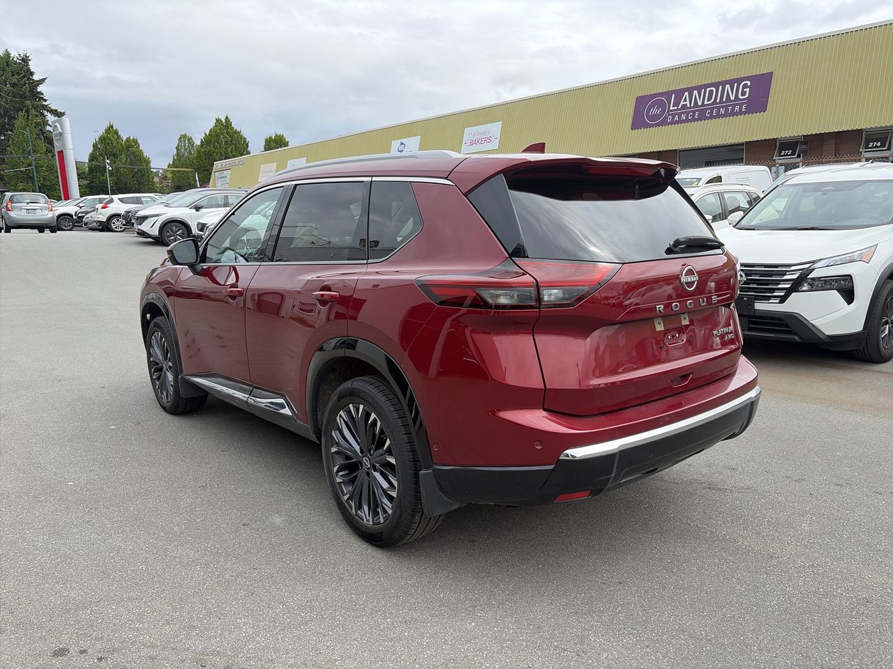 2024  Rogue