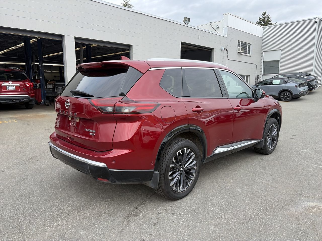 2024  Rogue