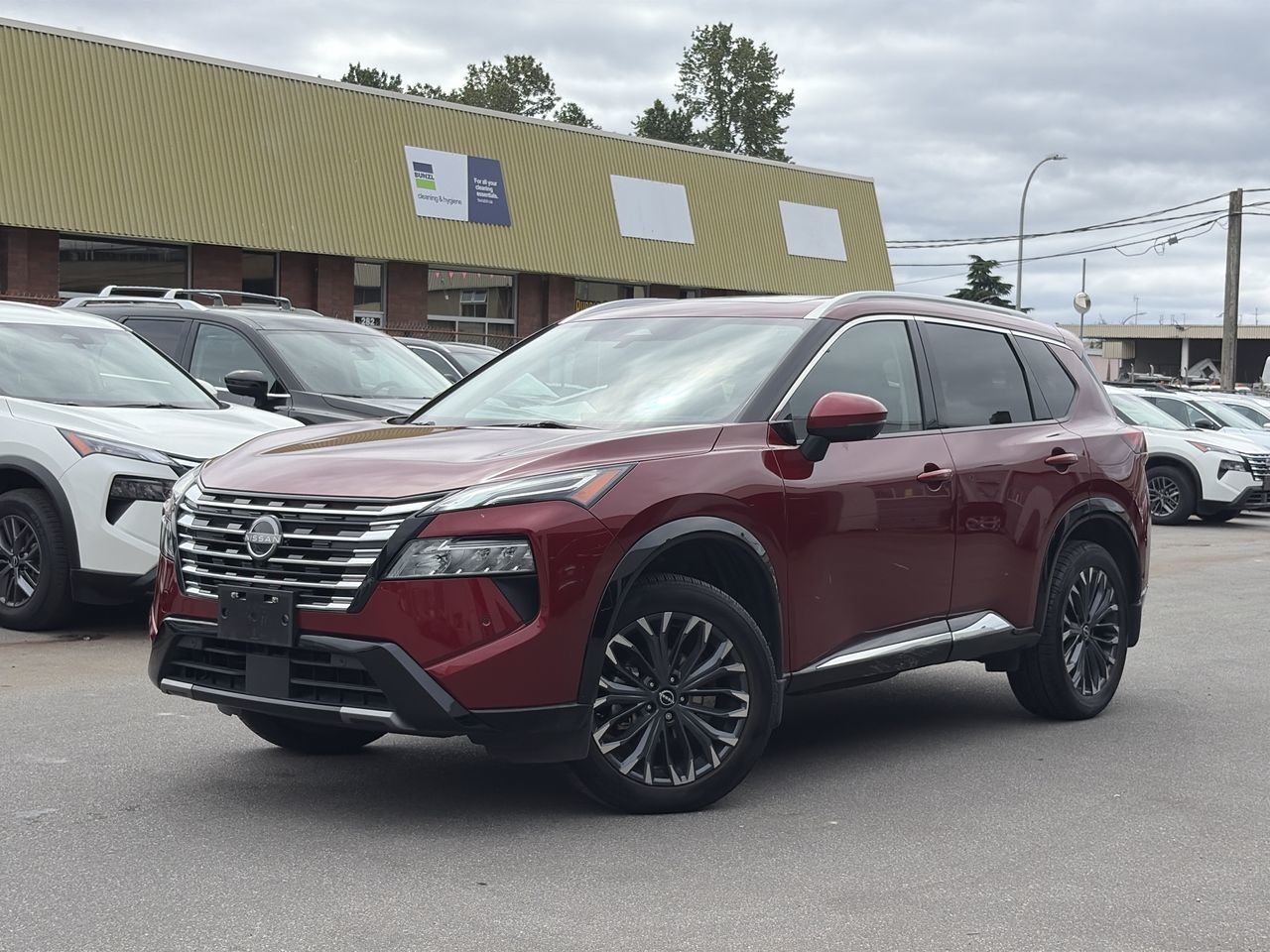 2024  Rogue