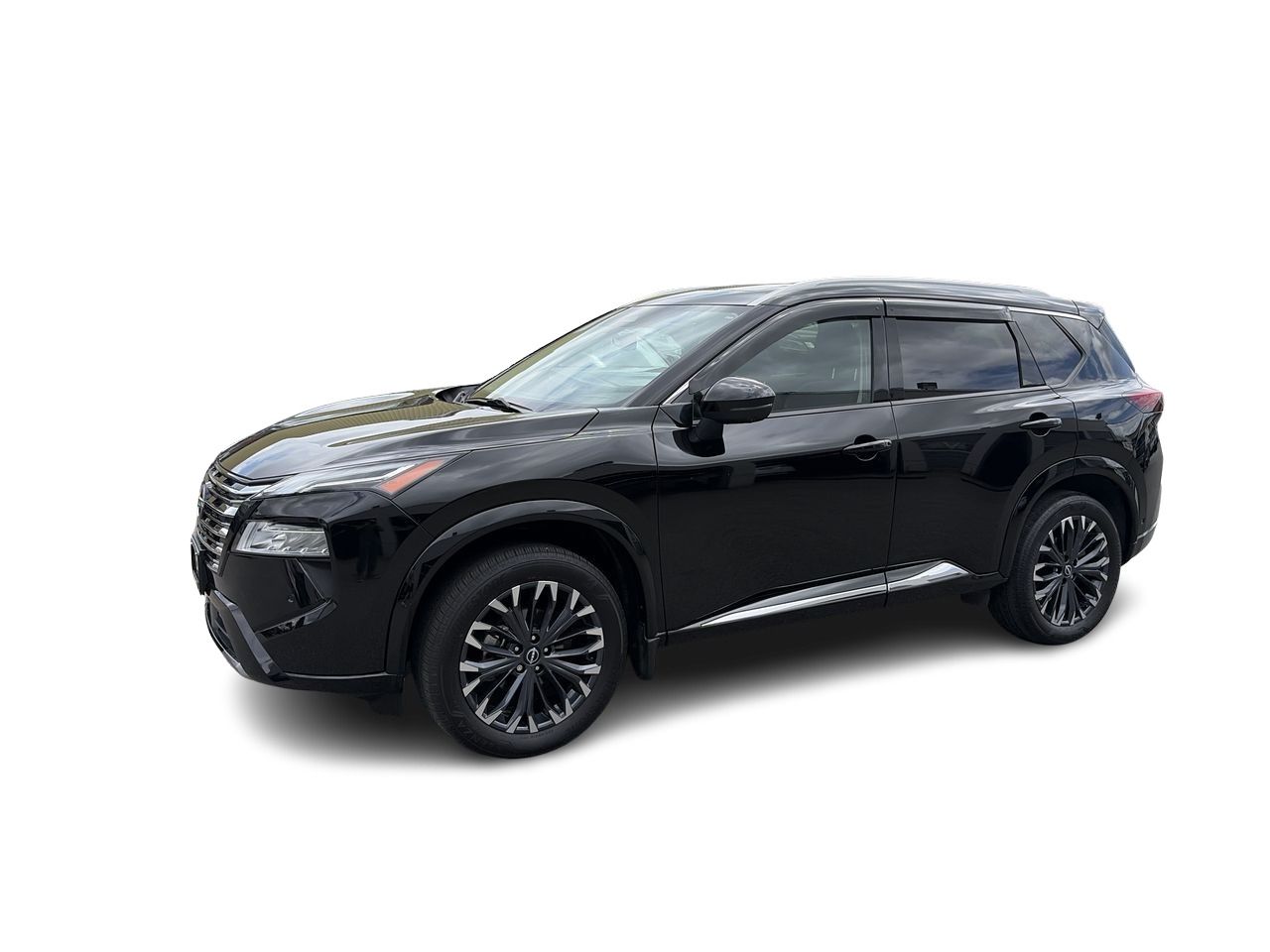 2024  Rogue