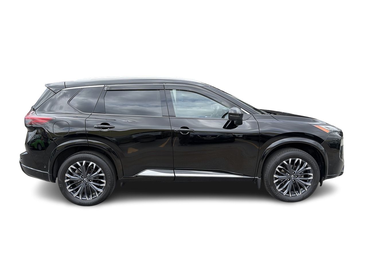 2024  Rogue