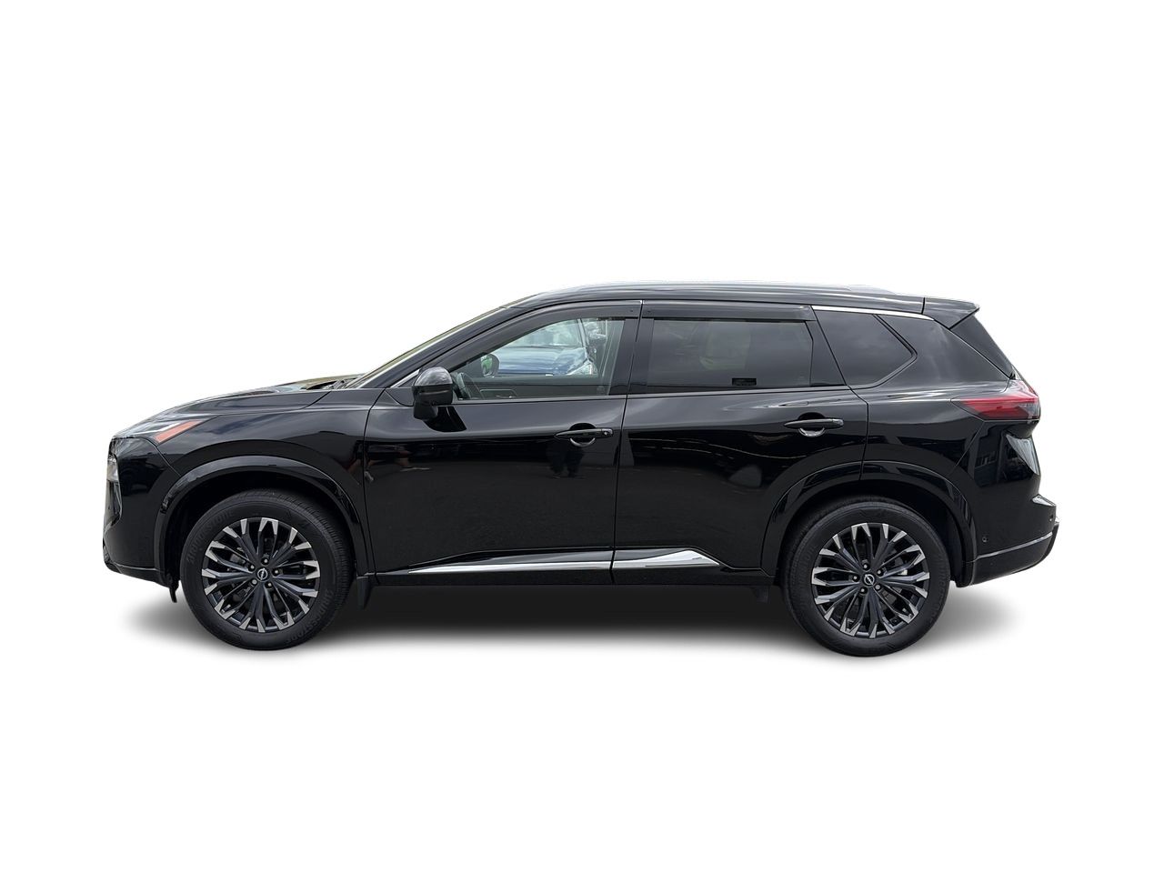 2024  Rogue