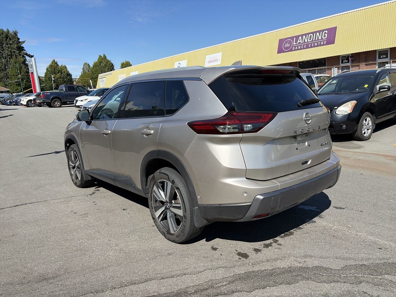 2024  Rogue