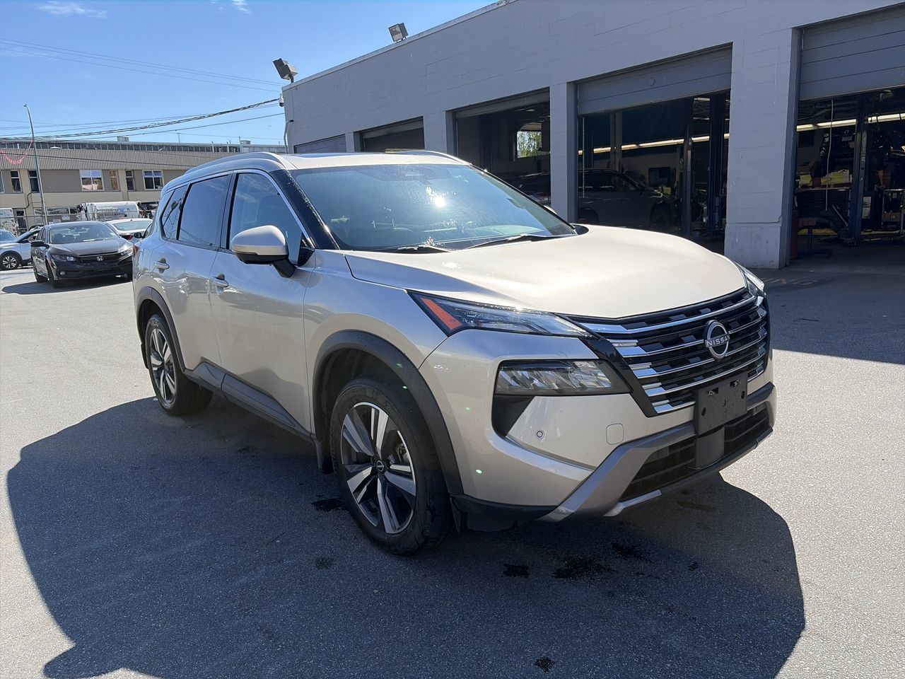 2024  Rogue