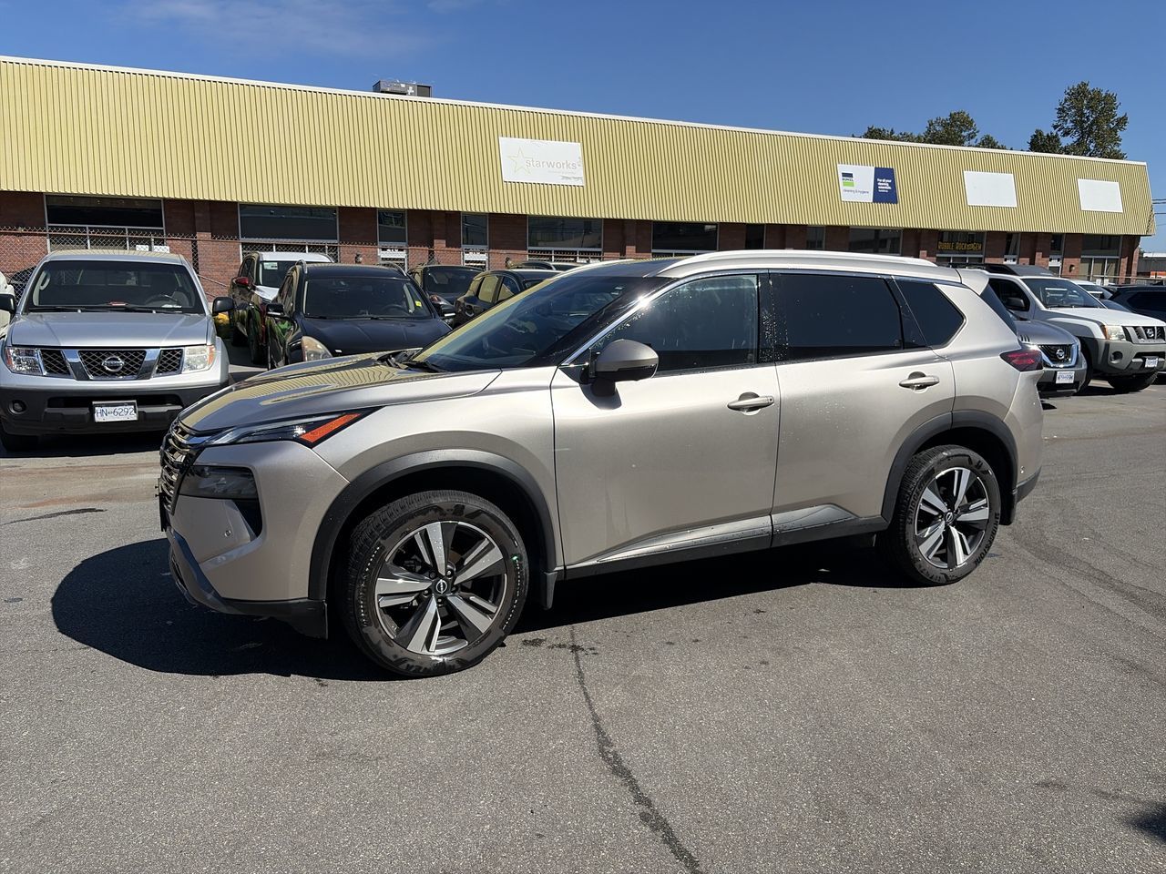 2024  Rogue