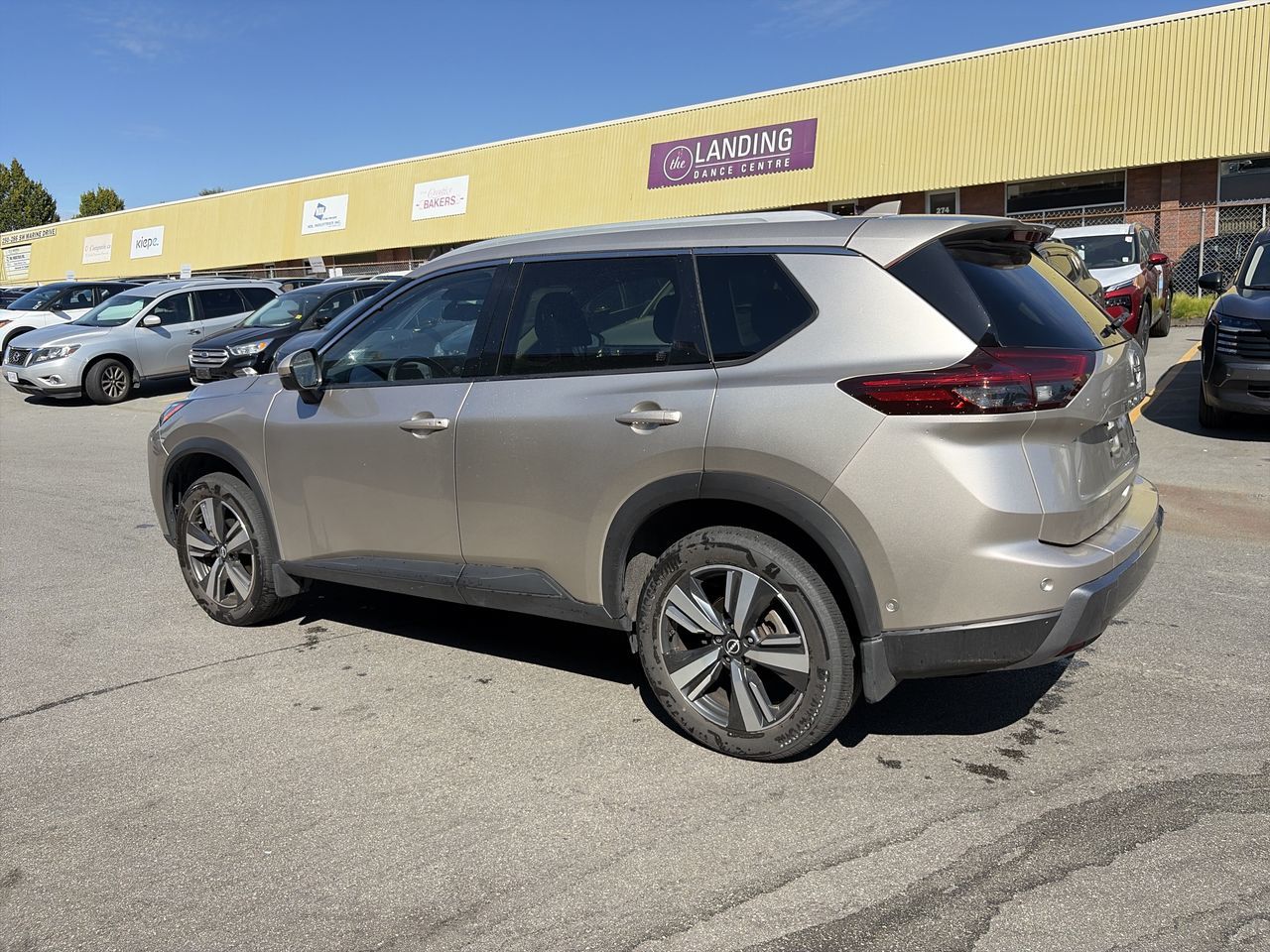 2024  Rogue
