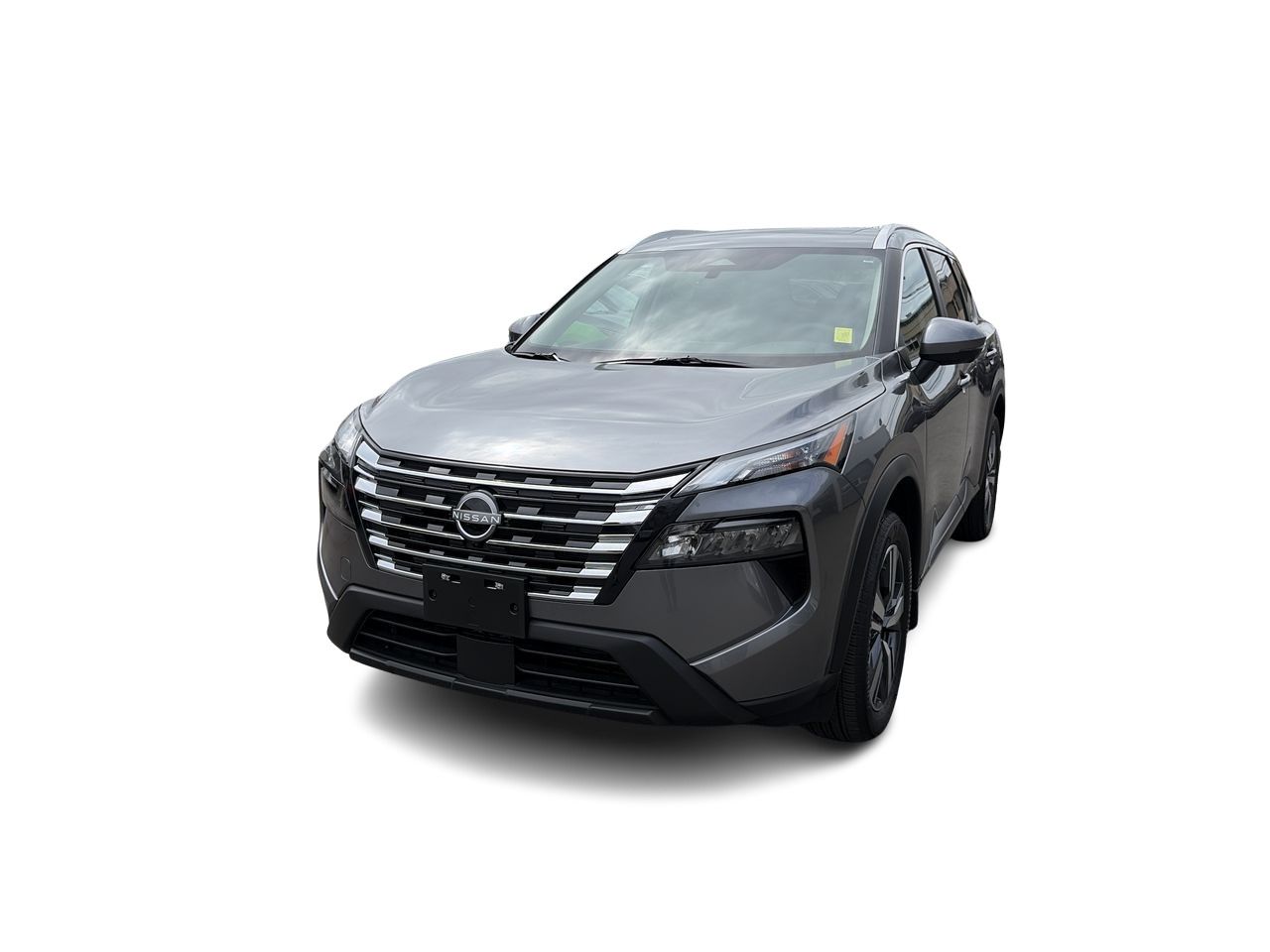 2025  Rogue