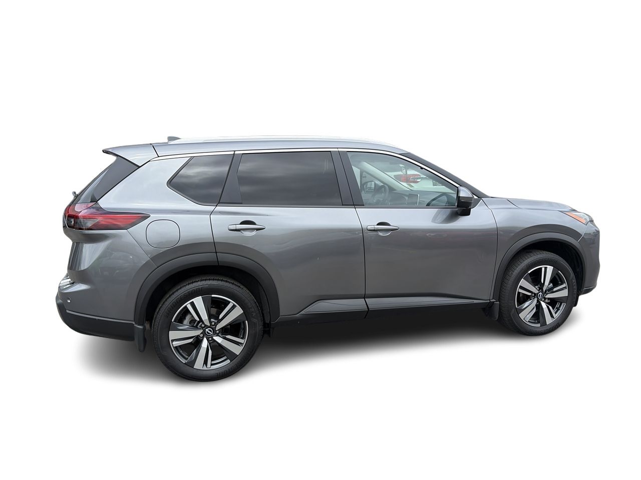 2025  Rogue