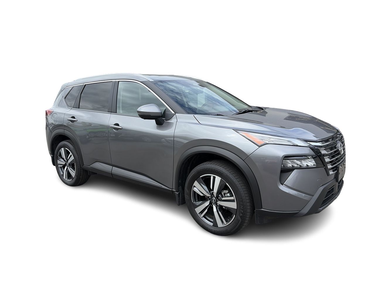 2025  Rogue