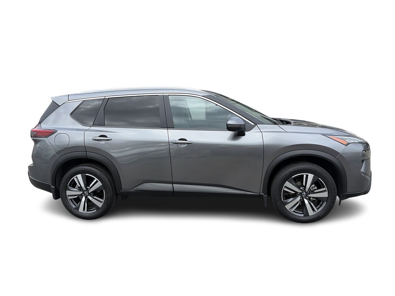 2025  Rogue