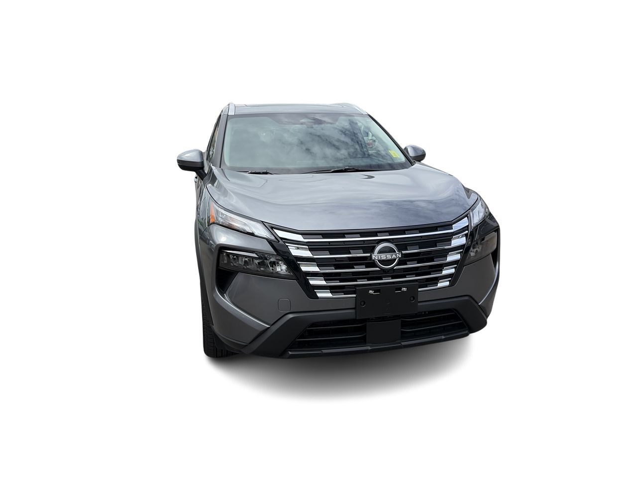 2025  Rogue