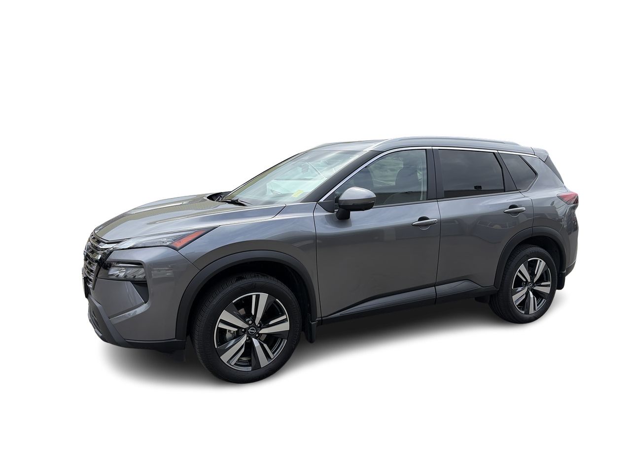 2025  Rogue