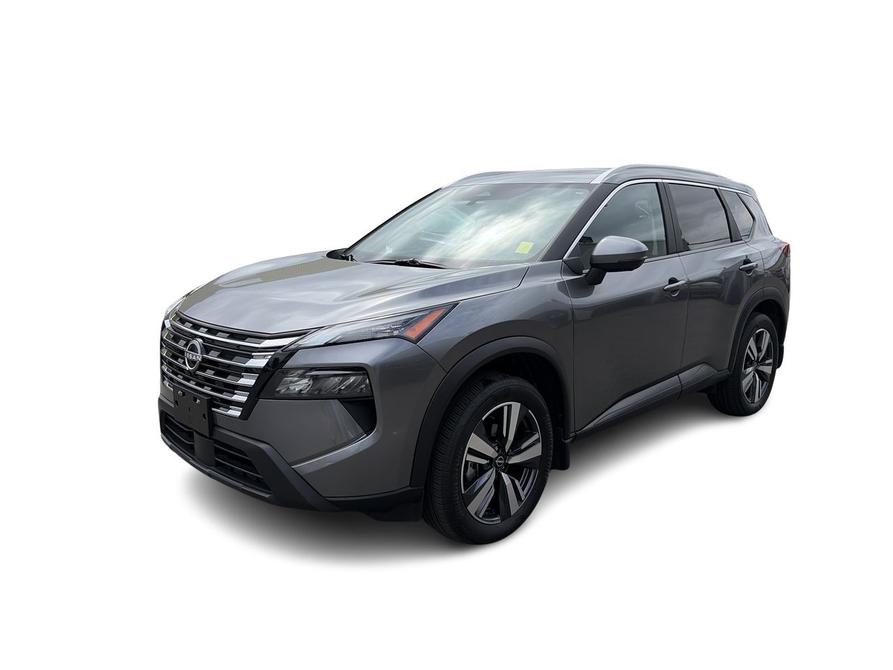 2025  Rogue