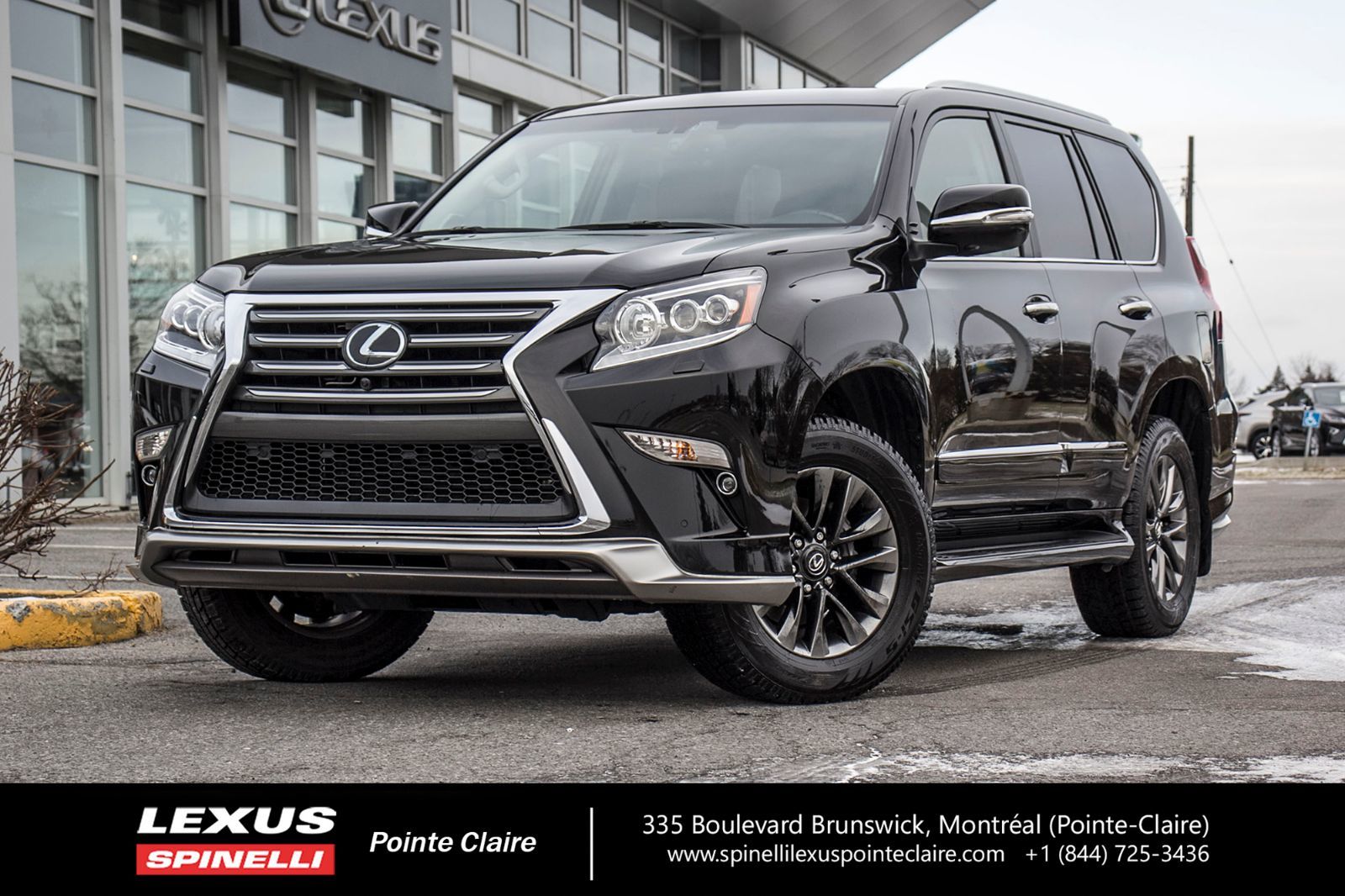 Lexus gx usa