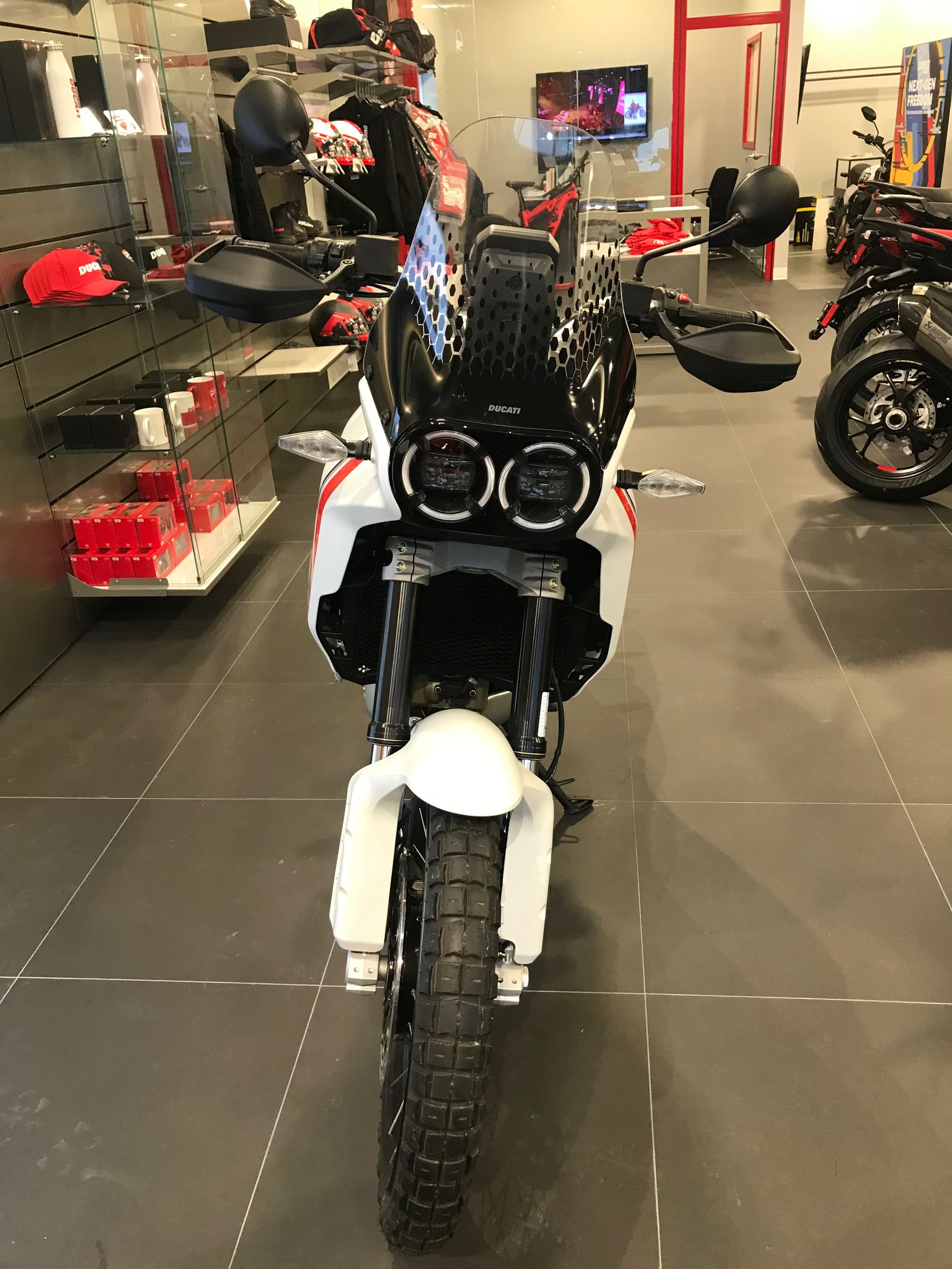 2023 Ducati Desert X 937