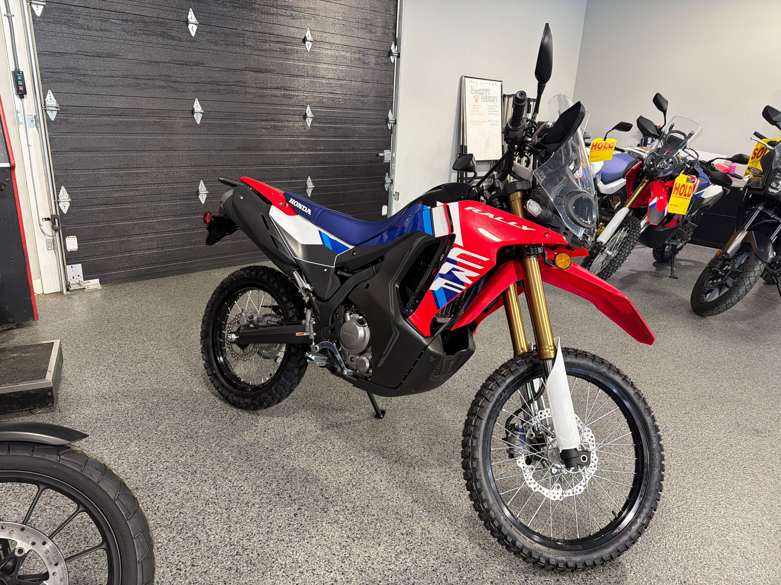 HONDA MC CRF300L Rally 2026