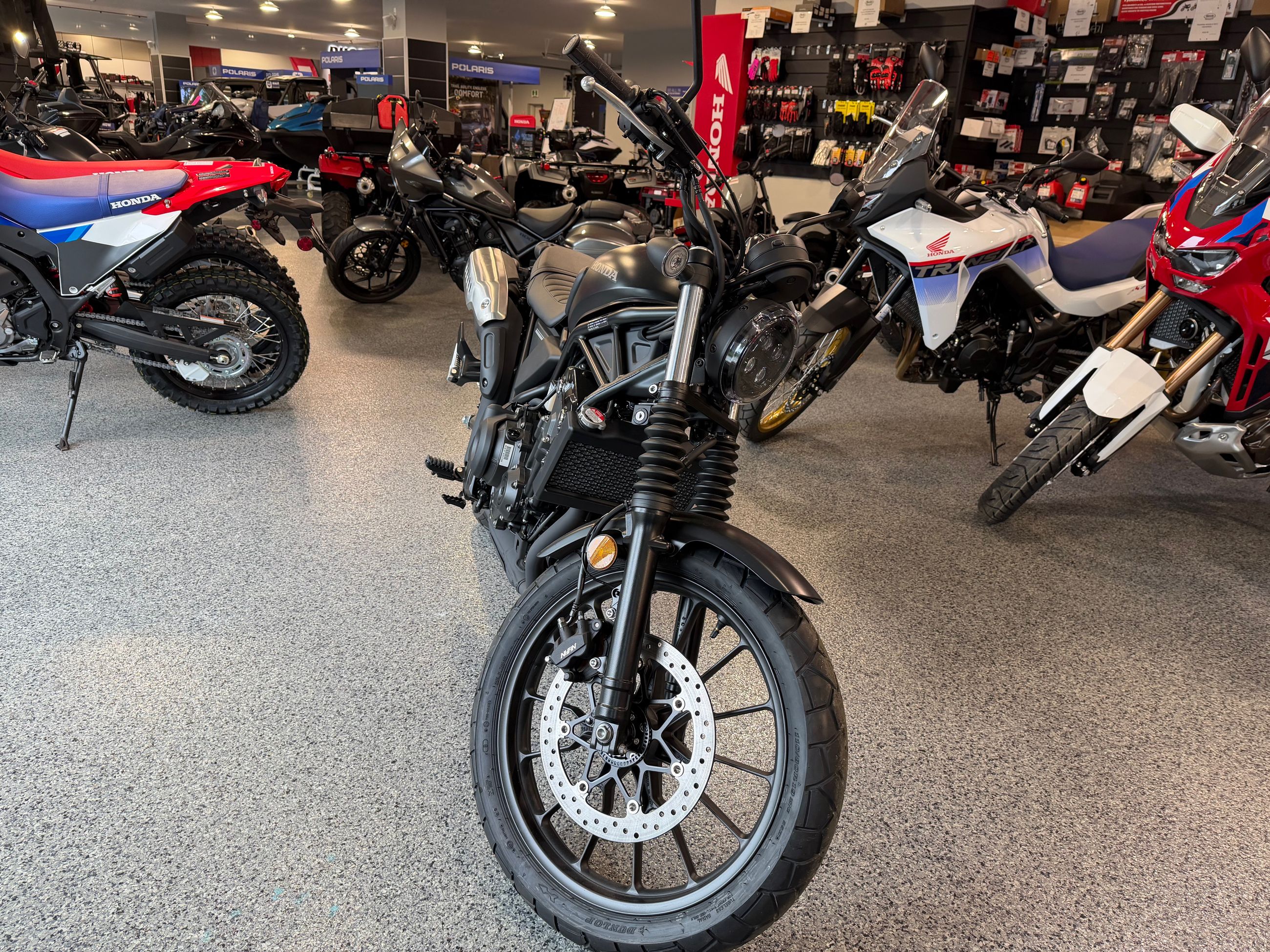 HONDA MC SCL500  2025