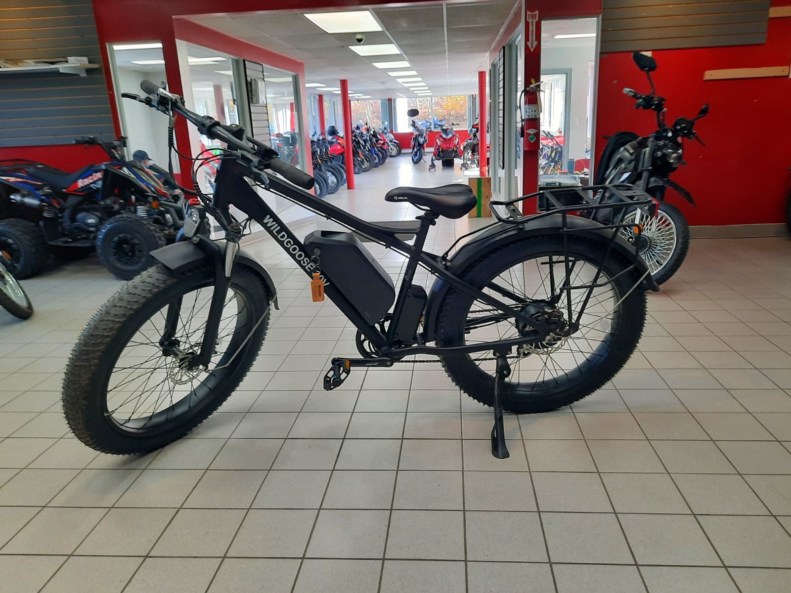 Daymak Wild Goose Electric Bike 9999
