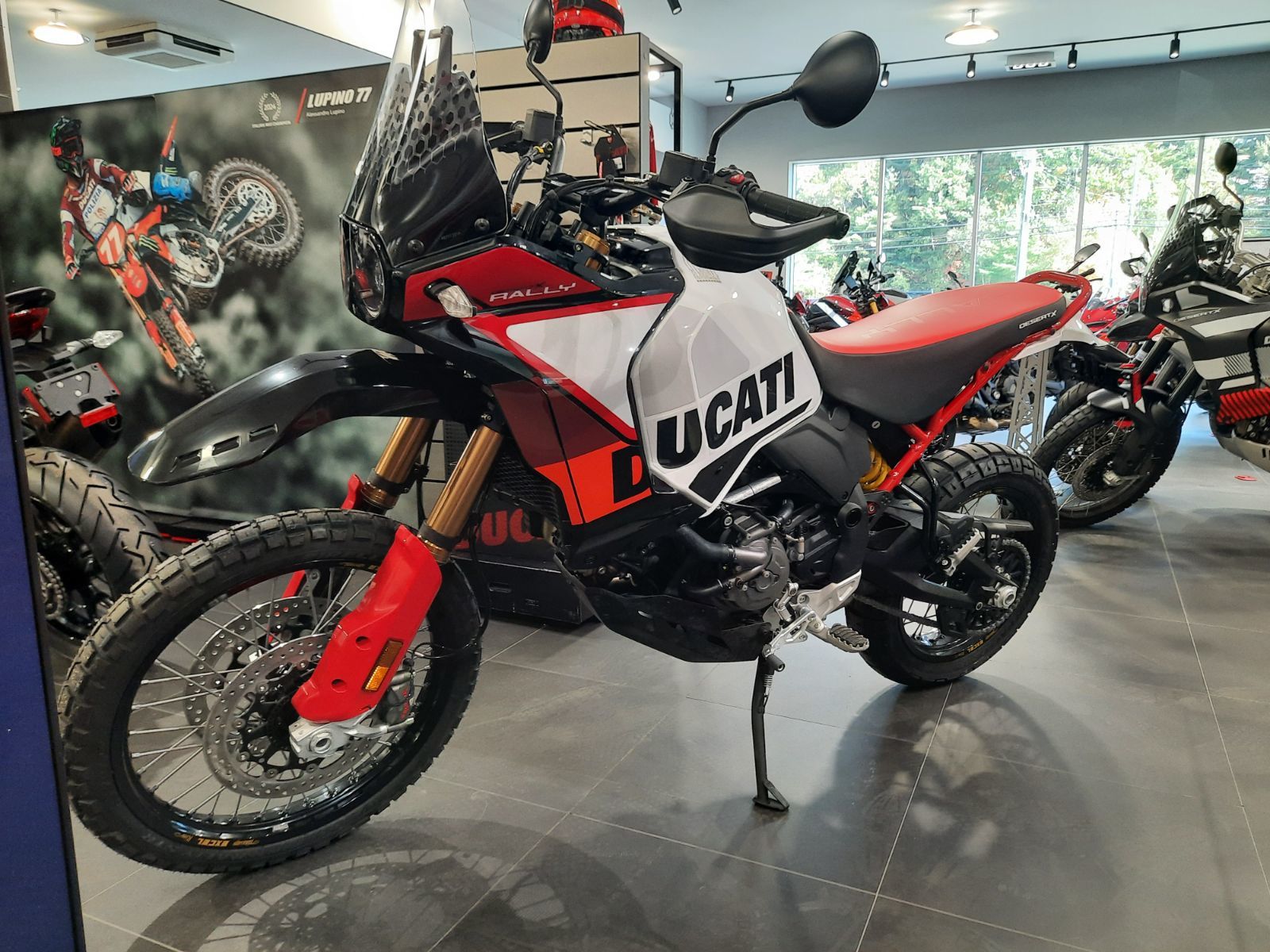 2025 Ducati Desert X DESERT X RALLY BIANCO