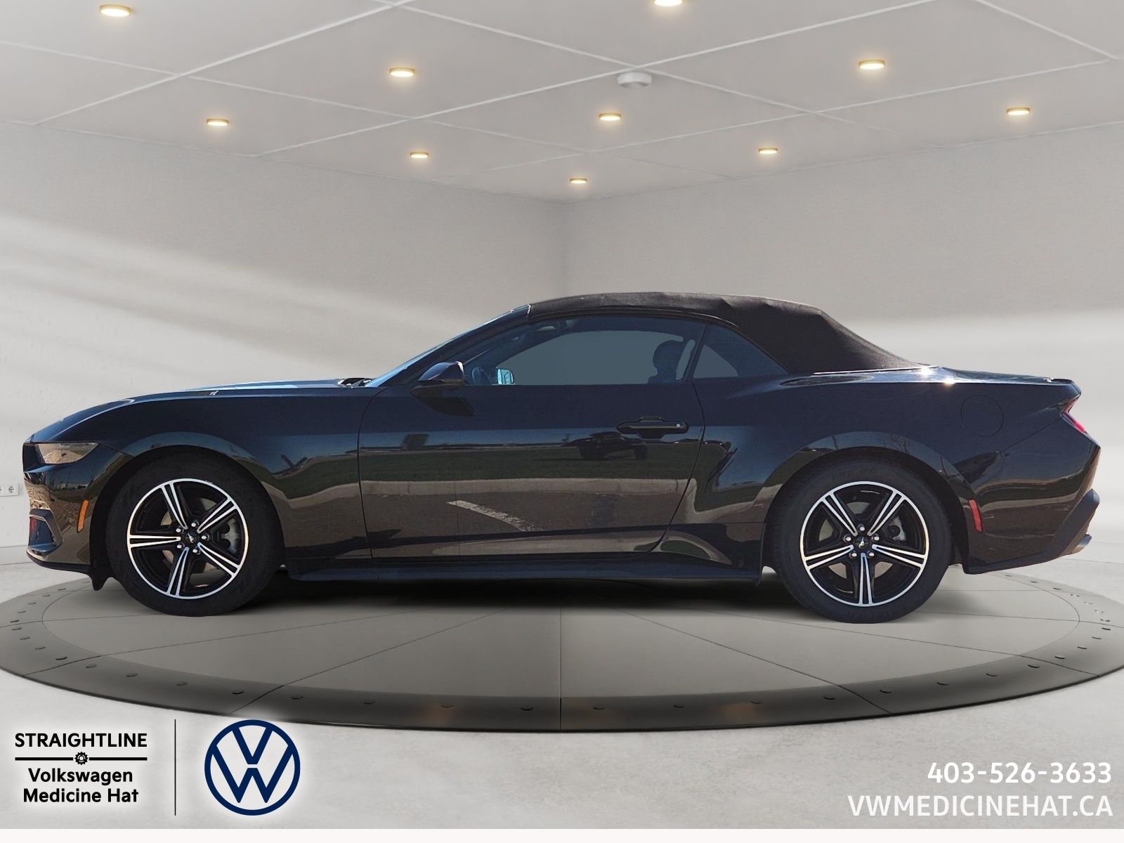 Photo 2025 Ford Mustang EcoBoost Convertible #5
