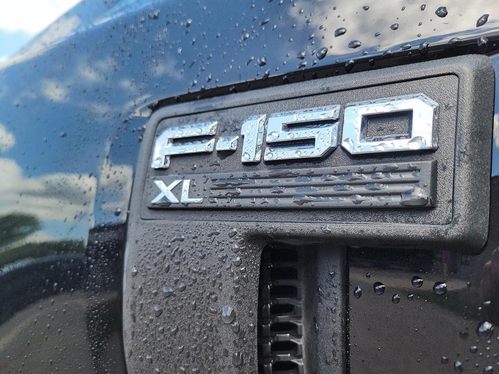 Photo 2022 Ford F150 4x2 - Regular Cab XL - 141 WB #6