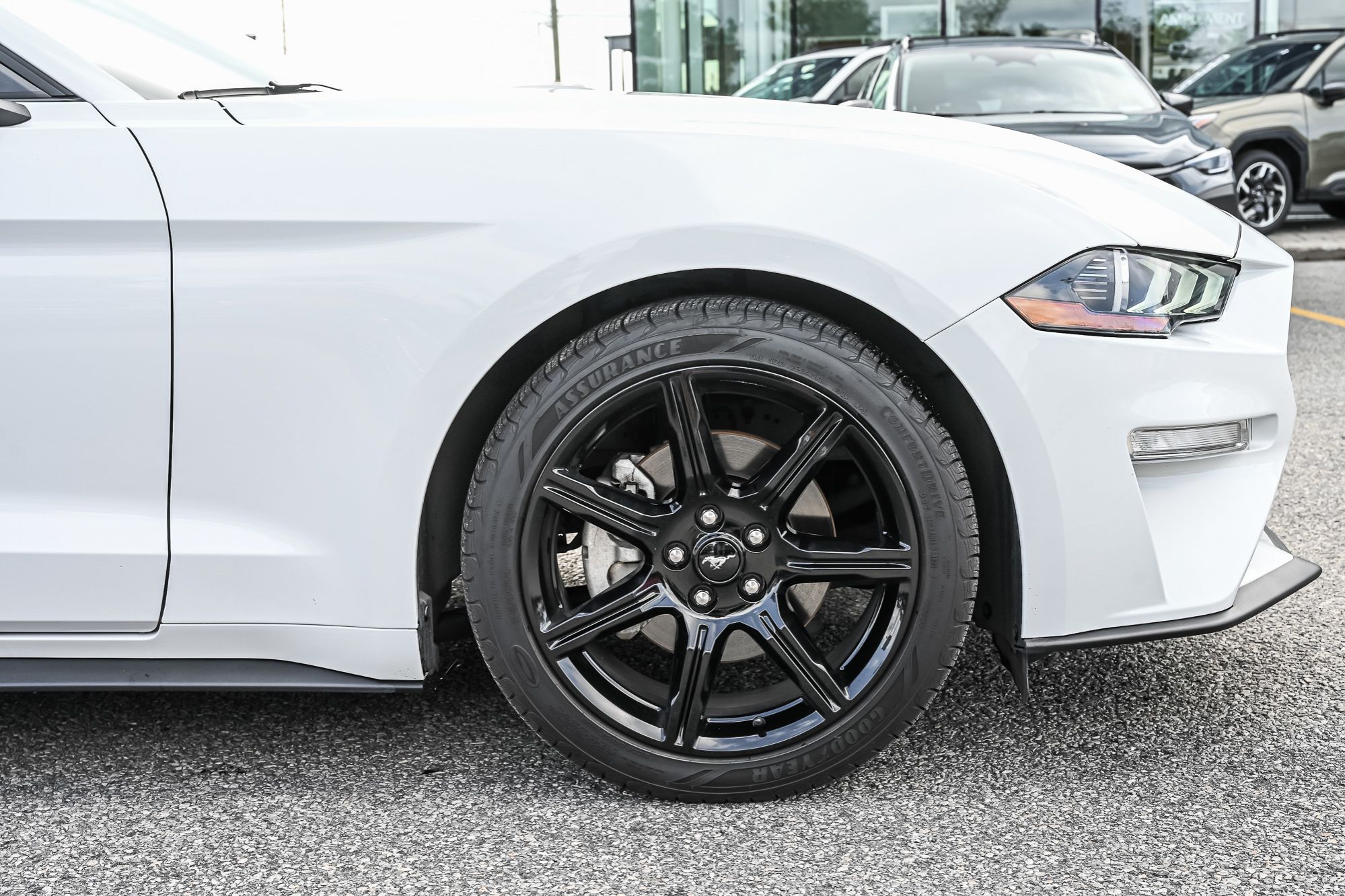 2019 Ford Mustang