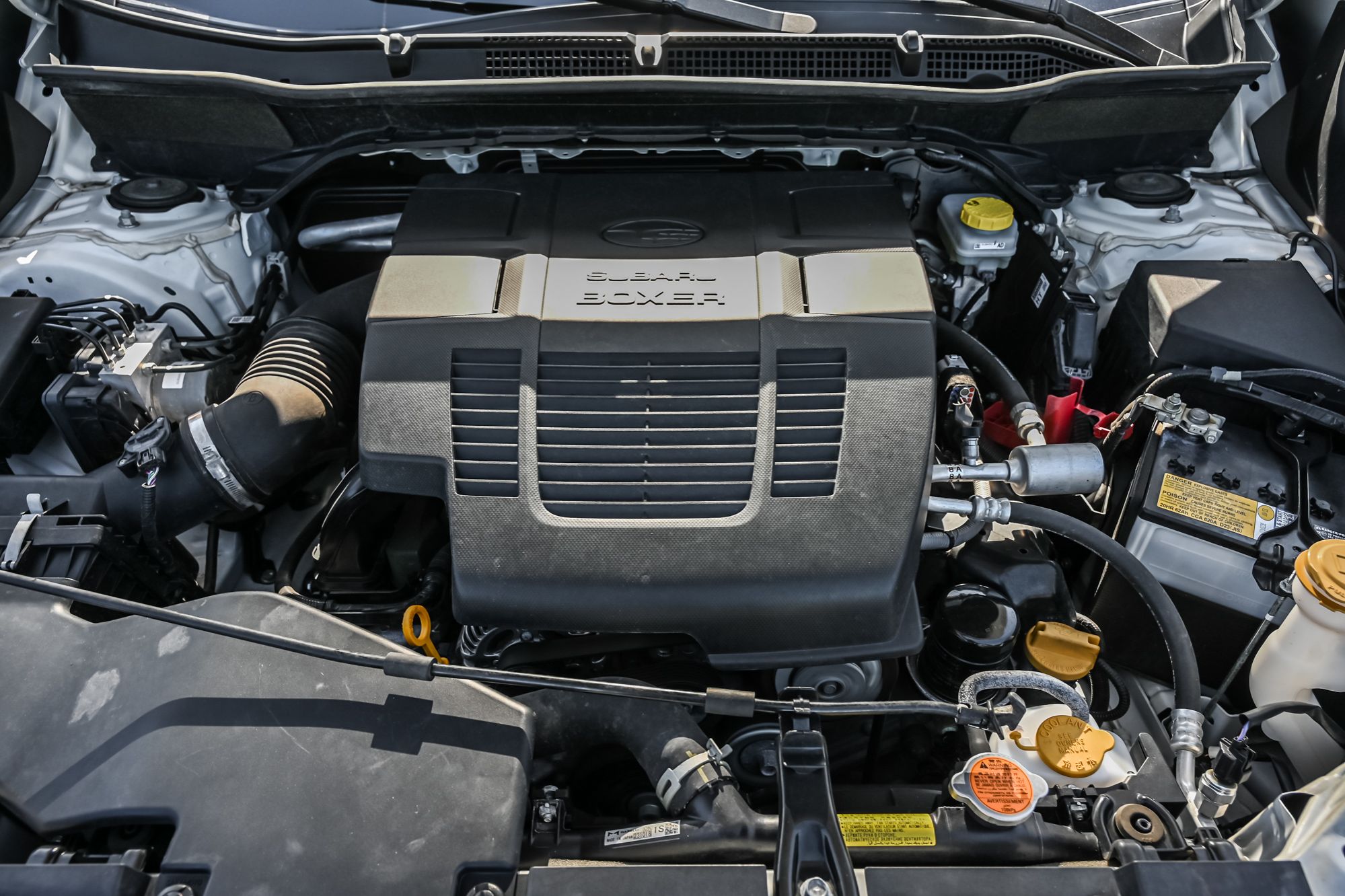 Subaru Forester  2024