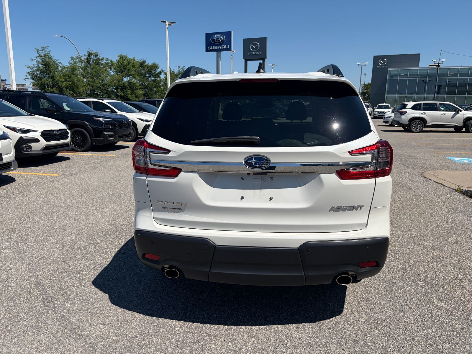 Subaru Ascent  2024