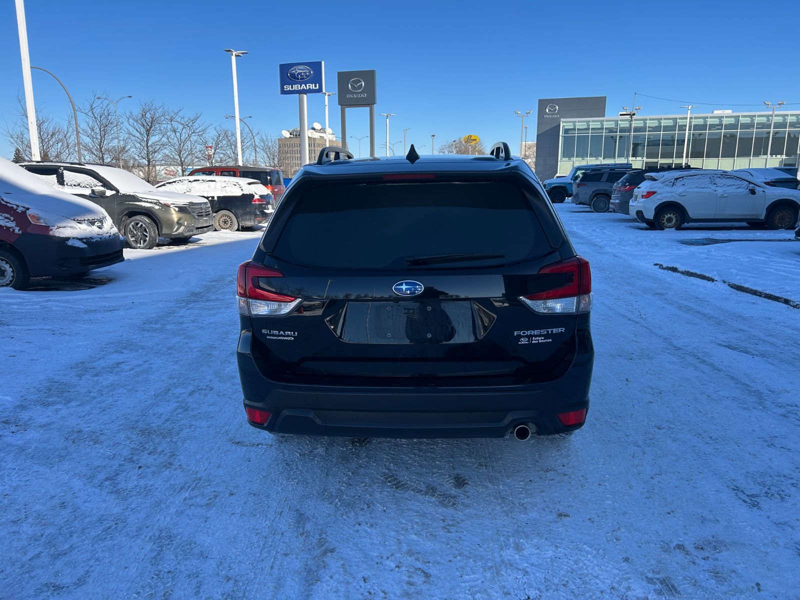 2024 Subaru Forester