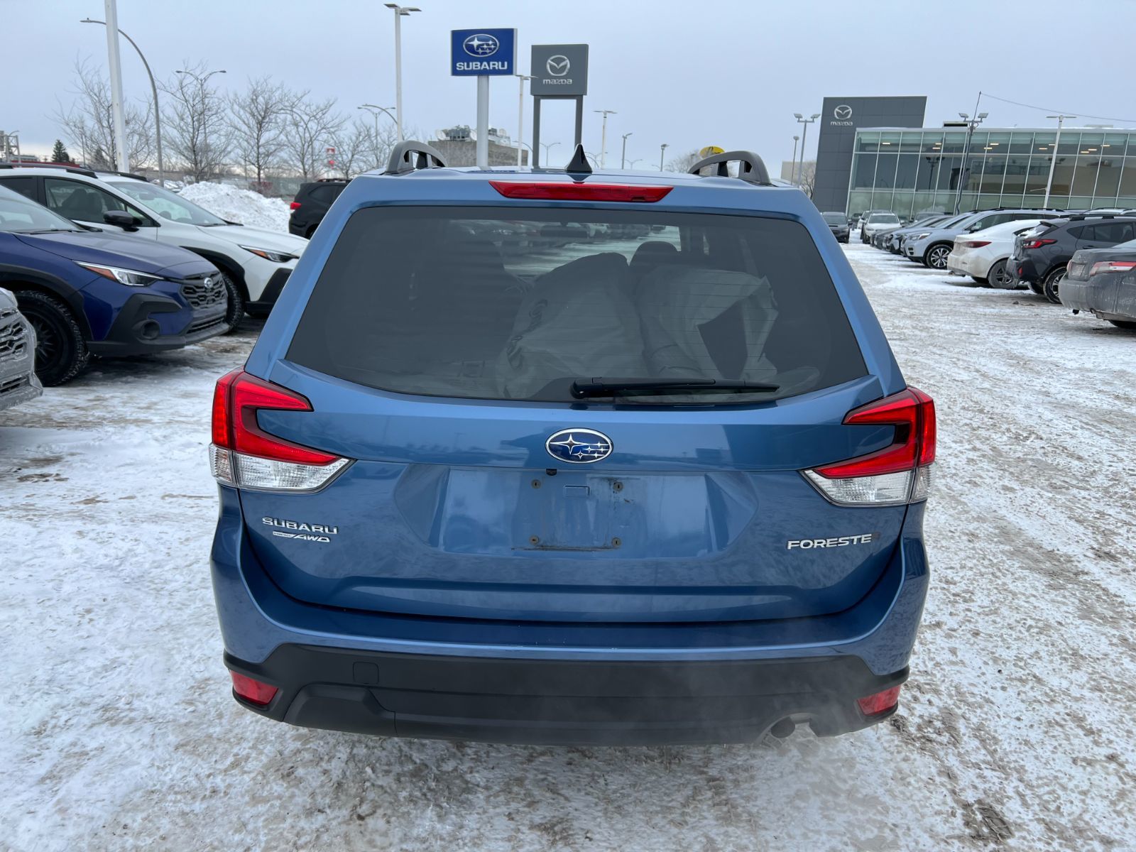 2024 Subaru Forester