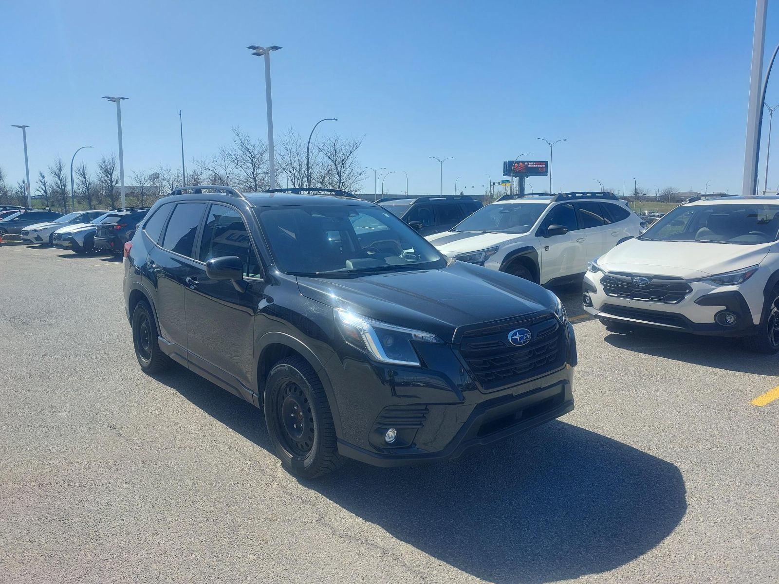 Subaru Forester  2024