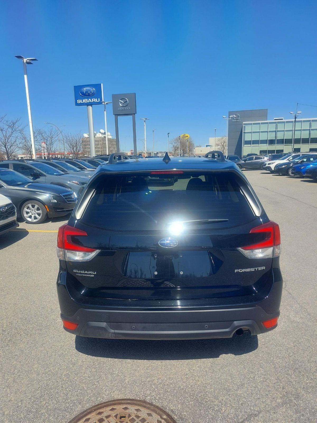 Subaru Forester  2024