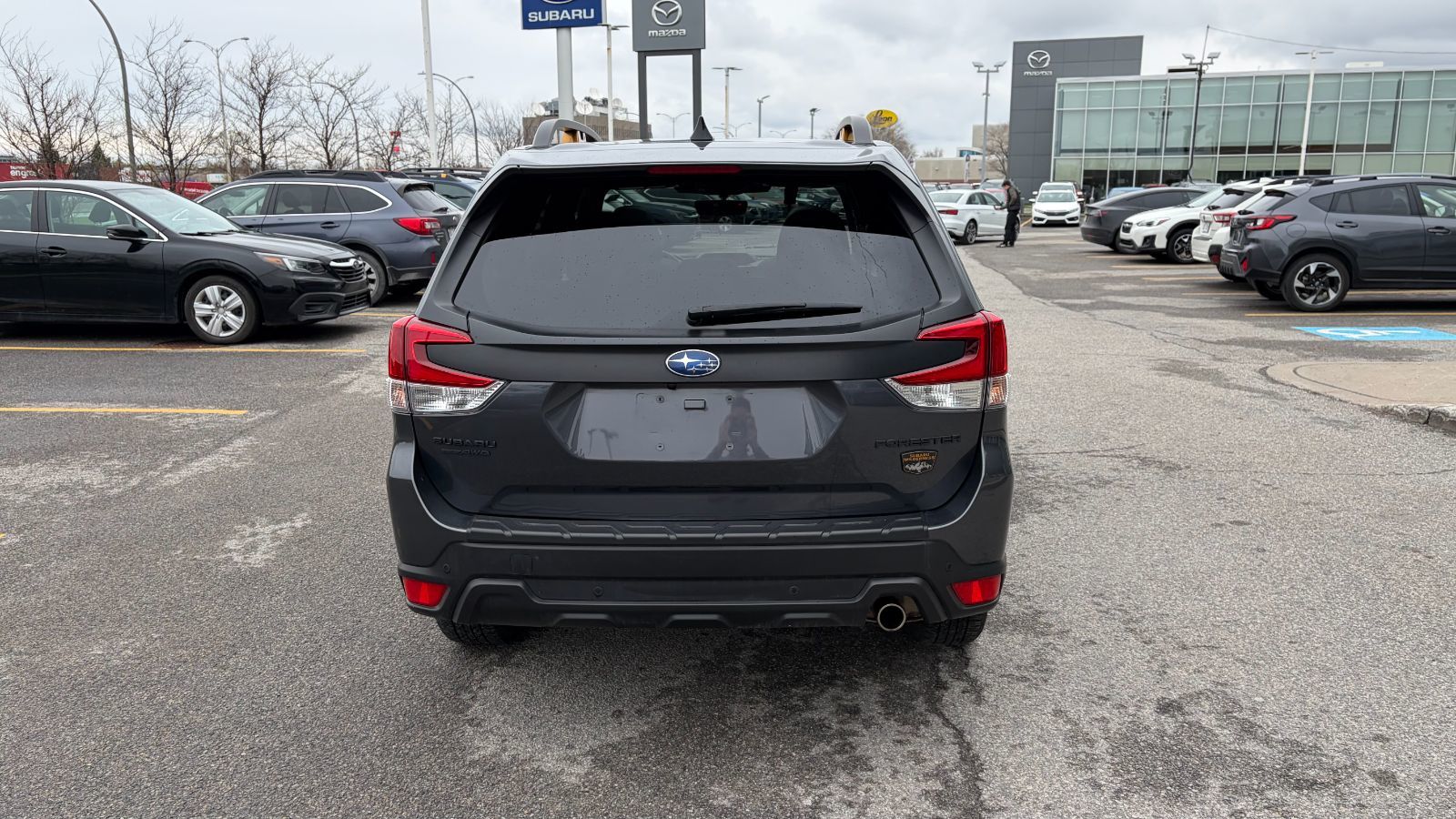 2024 Subaru Forester