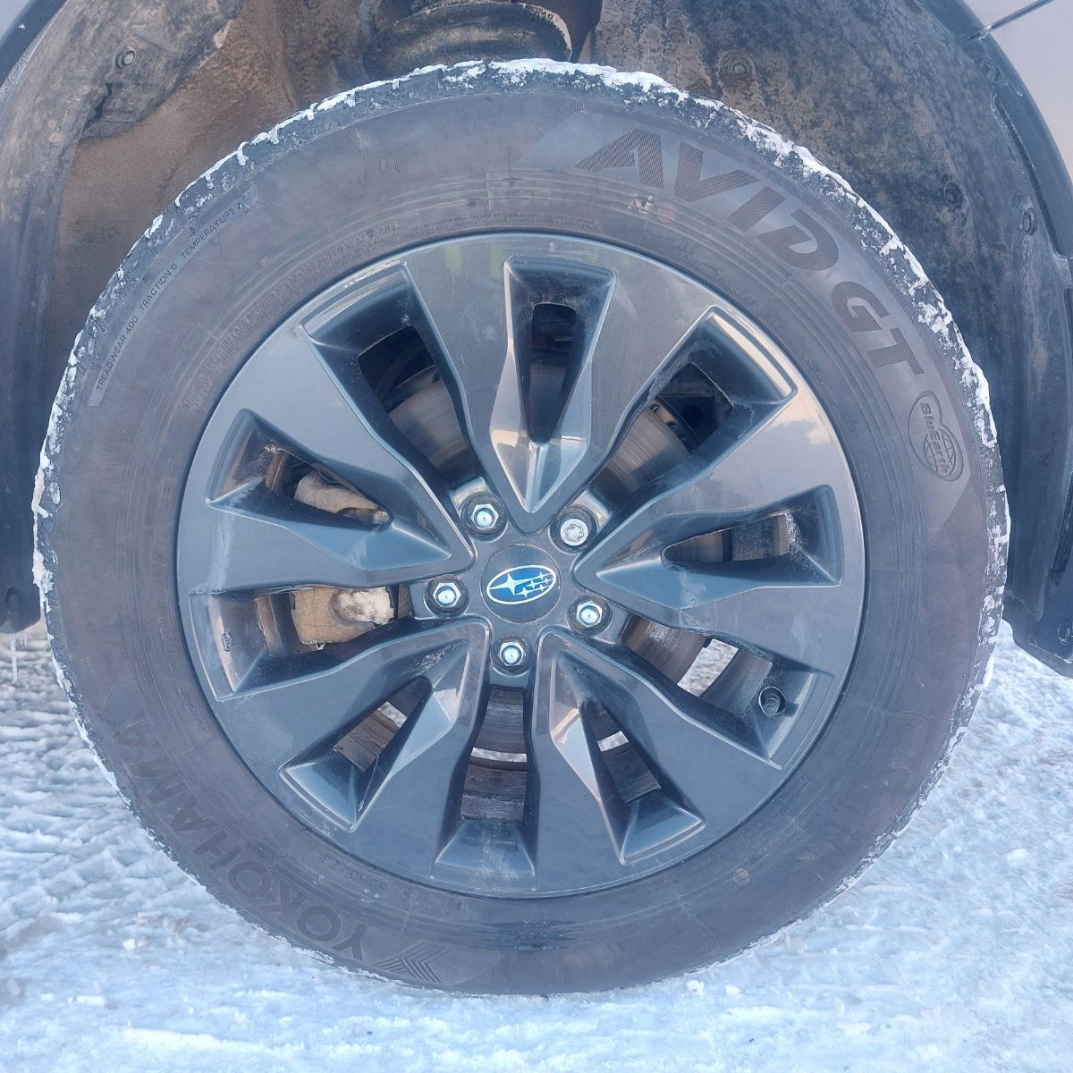 Subaru Outback  2024