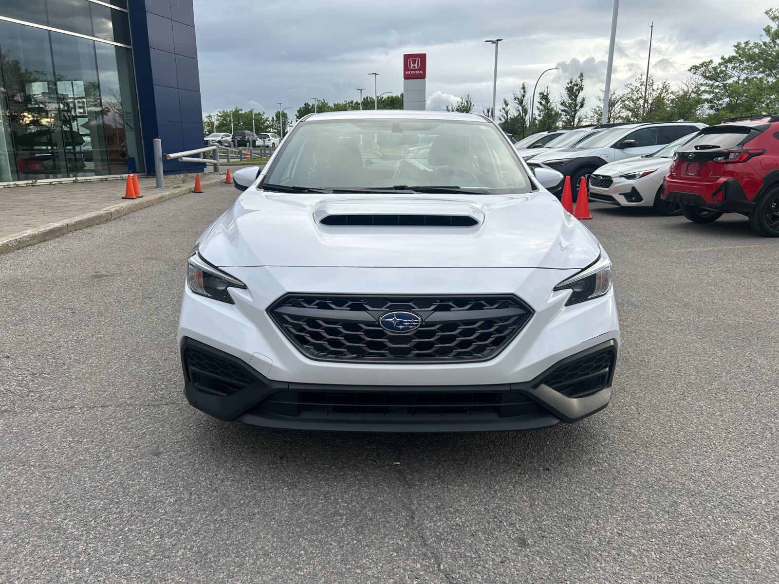 2023 Subaru WRX in Dorval, Quebec