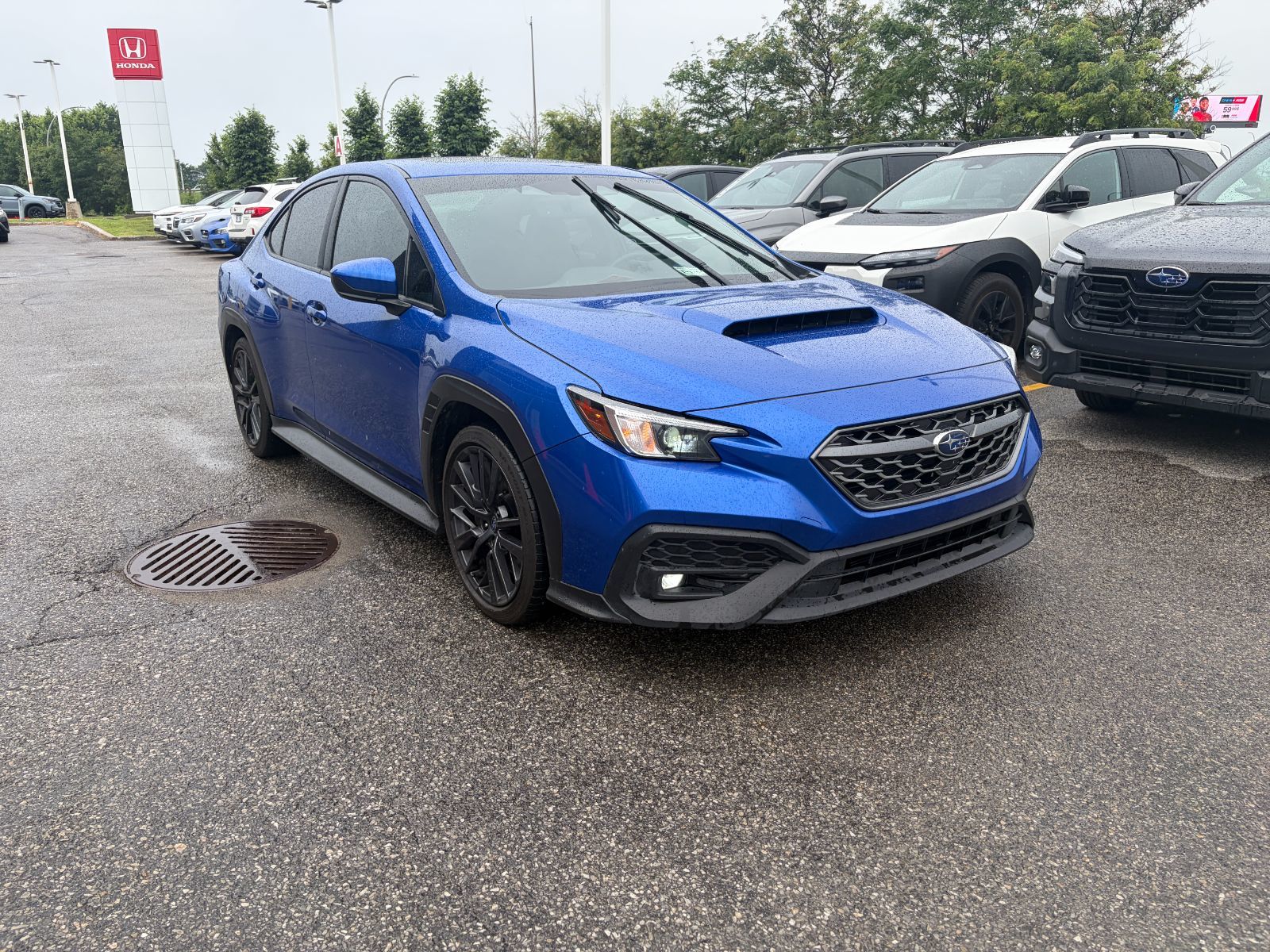 2024 Subaru WRX