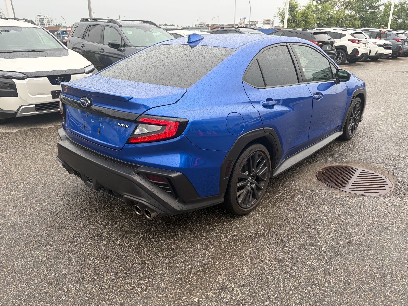 2024 Subaru WRX