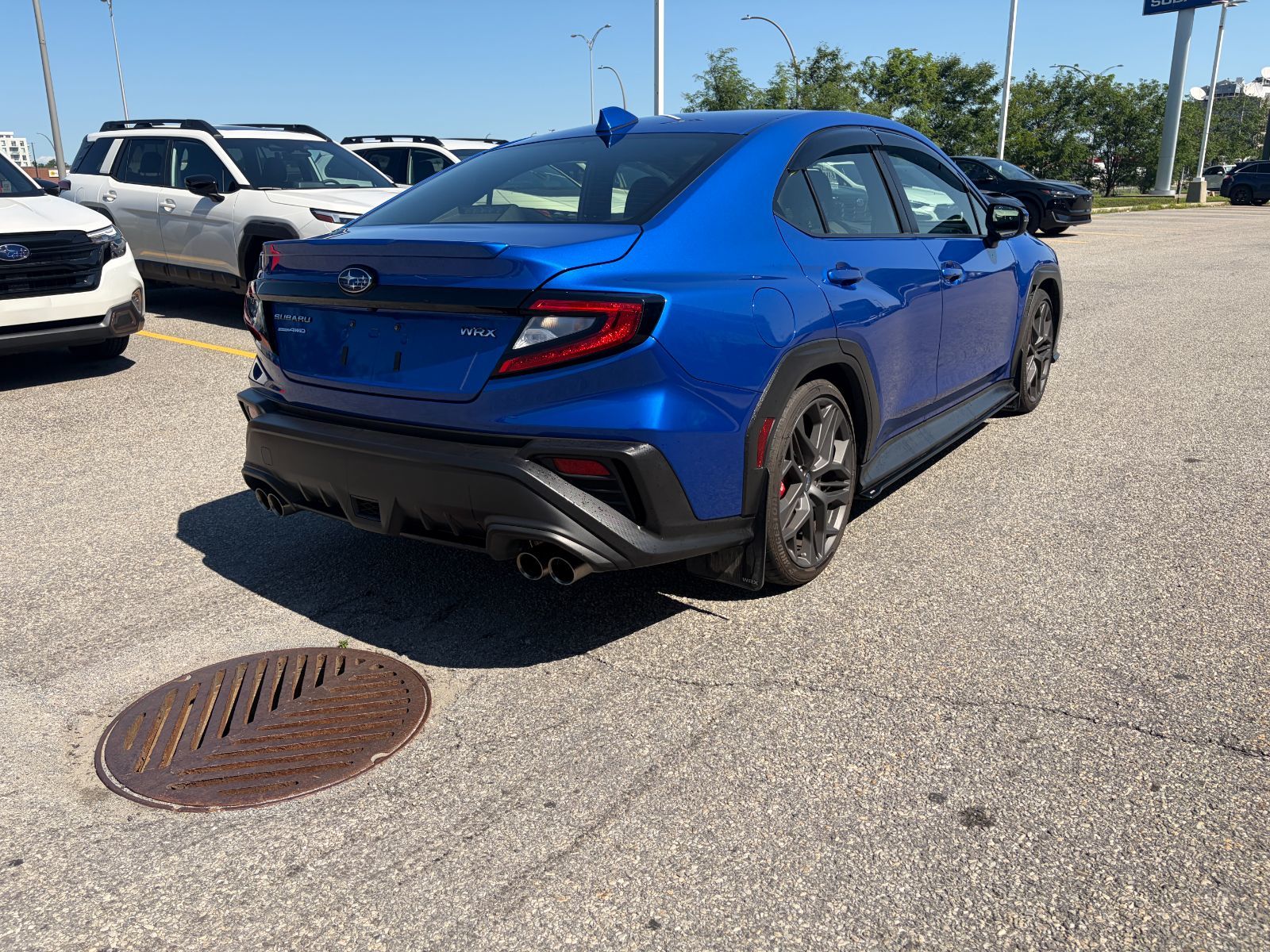 2024 Subaru WRX