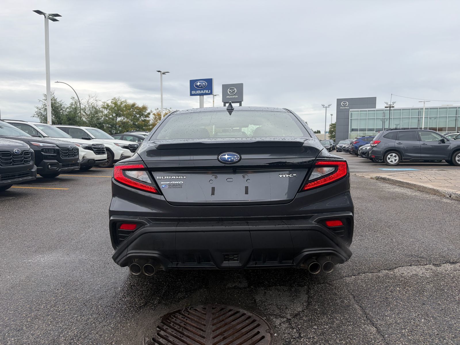 2024 Subaru WRX in Dorval, Quebec