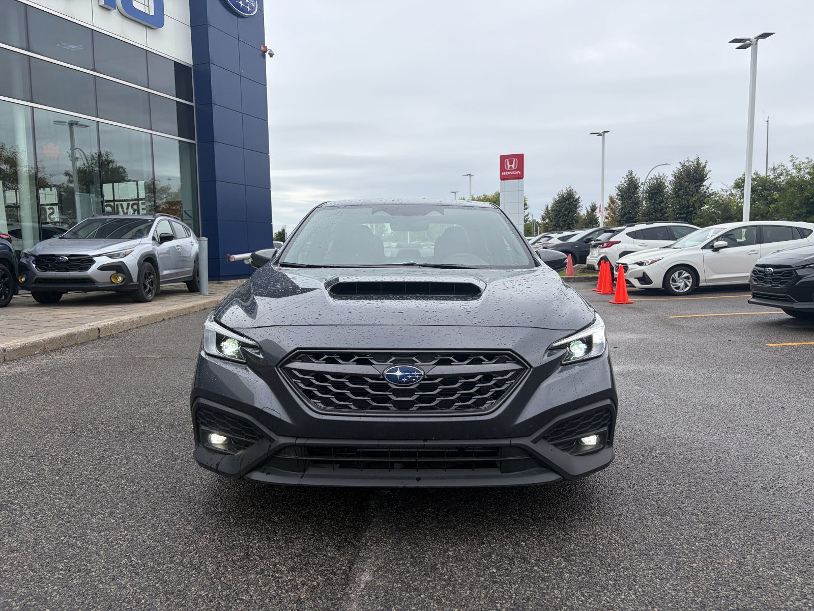 2024 Subaru WRX in Dorval, Quebec