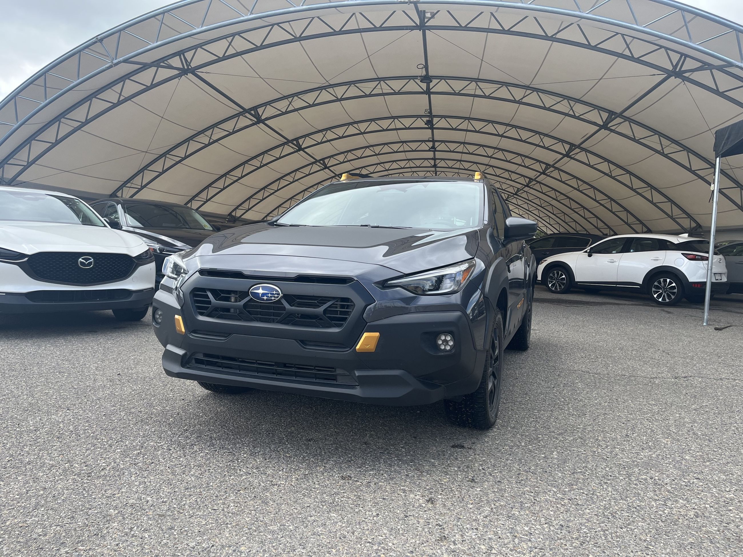 2024 Subaru Crosstrek Wilderness AWD W / APPLE CARPLAY / ANDROID AUTO