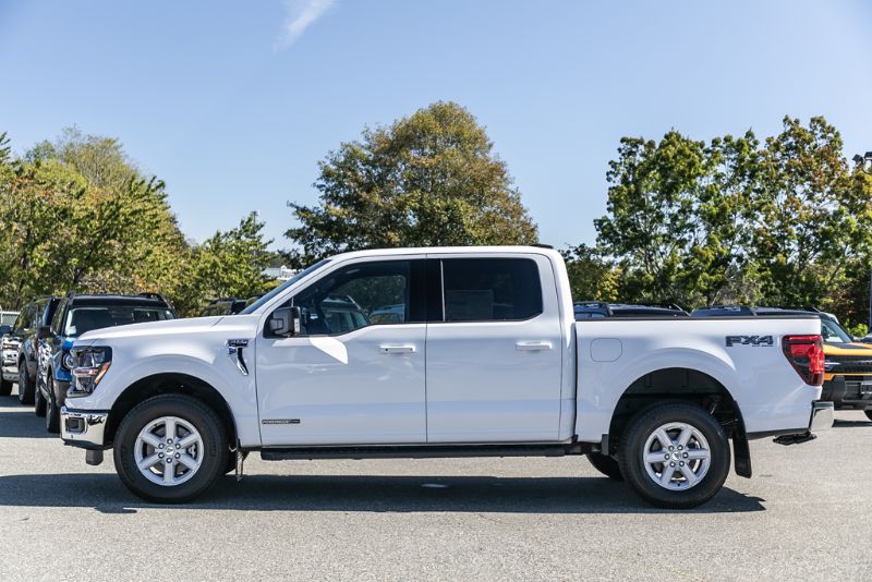 Photo 2026 Ford F-150 XLT #8