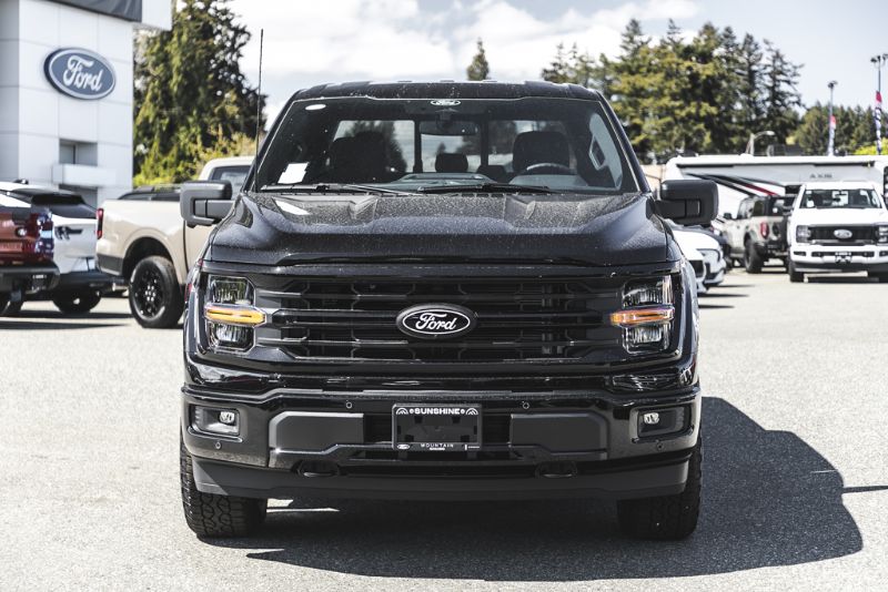 Photo 2026 Ford F-150 XLT #2