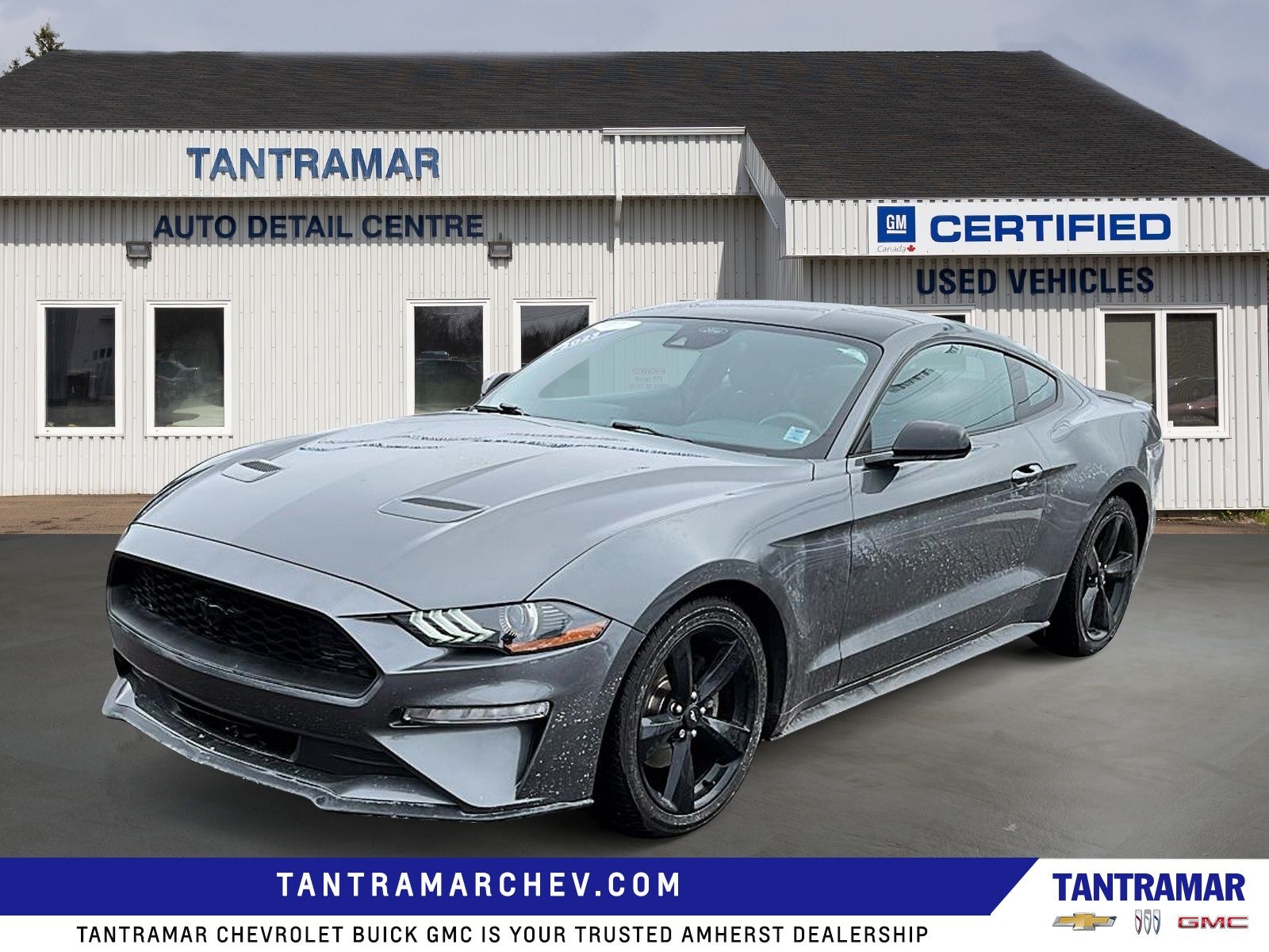 2023 Ford Mustang EcoBoost