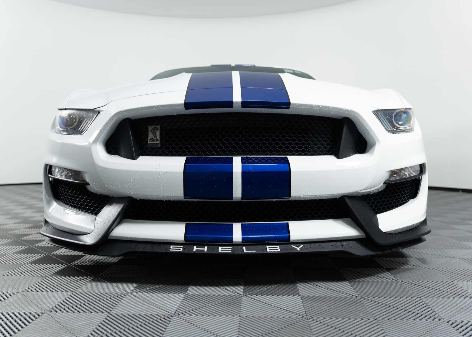 Photo 2016 Ford Mustang Shelby GT350 #2