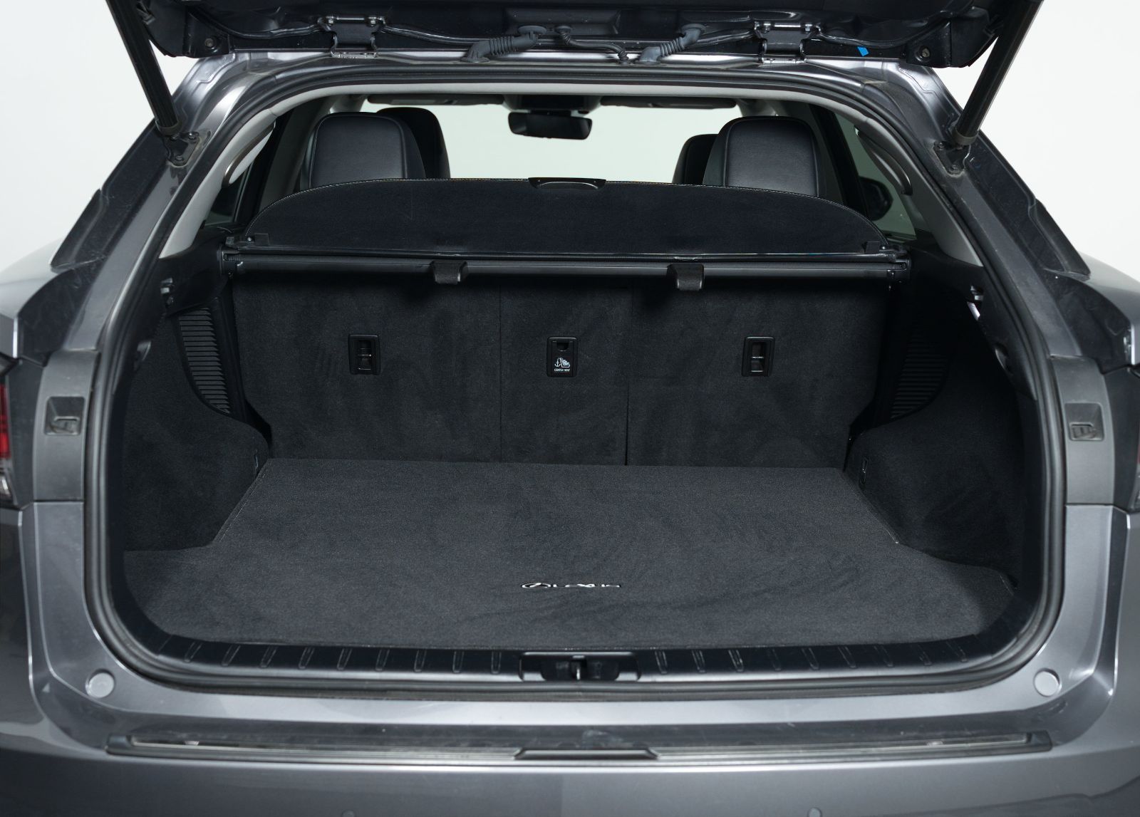 Photo 2020 Lexus RX RX 450h #8