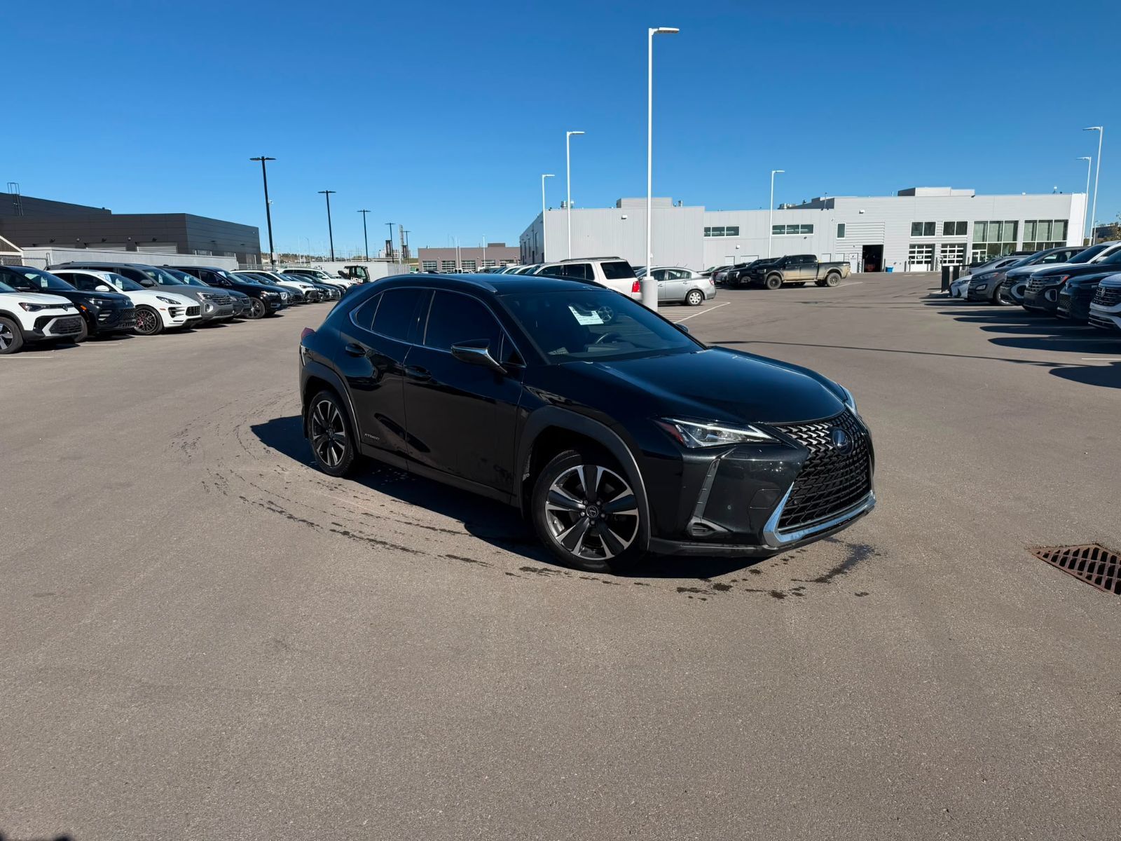 Photo 2021 Lexus UX UX 250h #2
